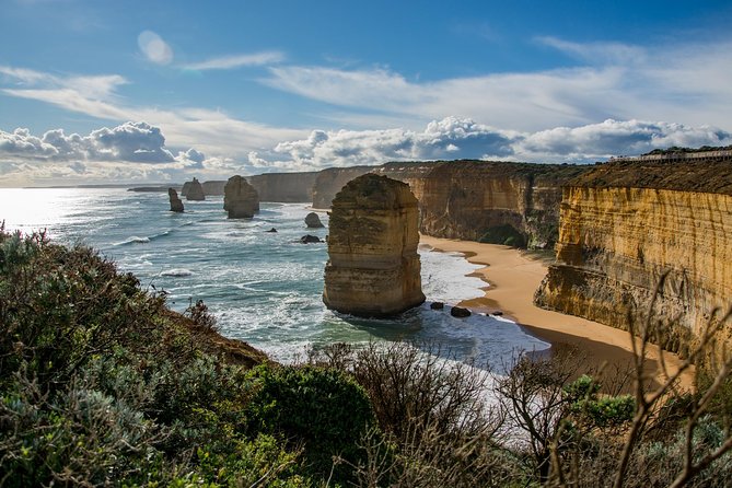 Great Ocean Road 12 Apostles & Rainforest Walk with Morning Tea - Surf Coast towns you pass through: a scenic warm-up, not a wasted detour