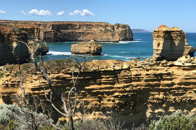 Great Ocean Road Reverse Itinerary Boutique Tour - Max 11 Guests - Great Otway National Park and Mait’s Rest: a rainforest reset