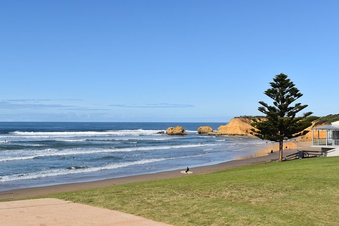 Great Ocean Road Tour Plus Koalas, Forest Walk and Morning Tea - Stop-by-Stop: From Torquay to the Apostles Loop