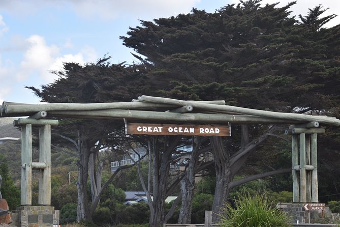 Great Ocean Road Tour Plus Koalas, Forest Walk and Morning Tea - Apollo Bay Break: Lunch on Your Terms (and a Beach Option)