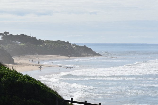 Great Ocean Road Tour Plus Koalas, Forest Walk and Morning Tea - Mait’s Rest Forest Walk: Tall Trees, Fresh Smell, and a Guided Pace