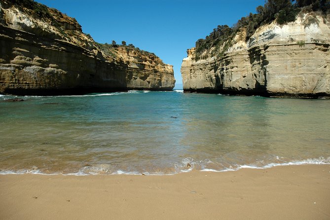 Great Ocean Road Tour Plus Koalas, Forest Walk and Morning Tea - Price and Value: What €82.29 Buys You (and What It Doesn’t)