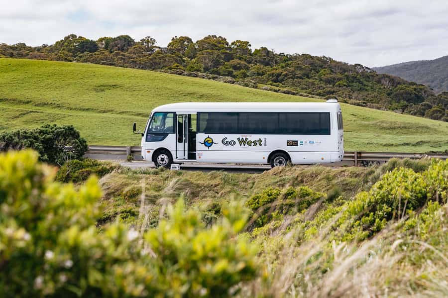 Great Ocean Road Tour w/ Deluxe Minibus & Top-Rated Guide - Great Otway National Park and Maits Rest: where the pace slows