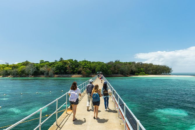Green Island Day Trip from Cairns - Lunch on the Catamaran and Planning for Island Food Prices
