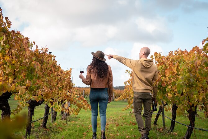 Hidden Gems: Boutique Full-Day Wine, Farm & Lunch Tour - Stop 1: Margaret River farmstay with alpacas, emus, and scones