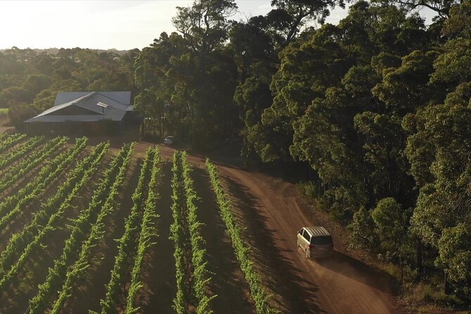 Hidden Gems: Boutique Full-Day Wine, Farm & Lunch Tour - Temper Temper Fine Chocolate: a quick hit of chocolate and coffee