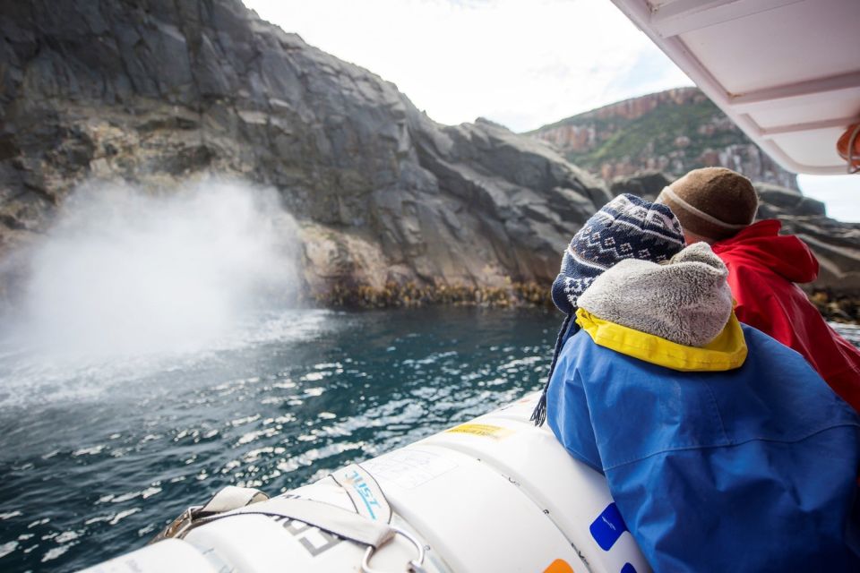 Hobart: Bruny Island Wilderness Coast Eco Cruise with Lunch - Who Should Book This Bruny Island Eco Cruise