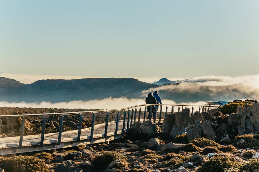 Hobart: Mt Wellington, Mt Field, Bonorong and Richmond Trip - Key highlights that make this Hobart day trip work