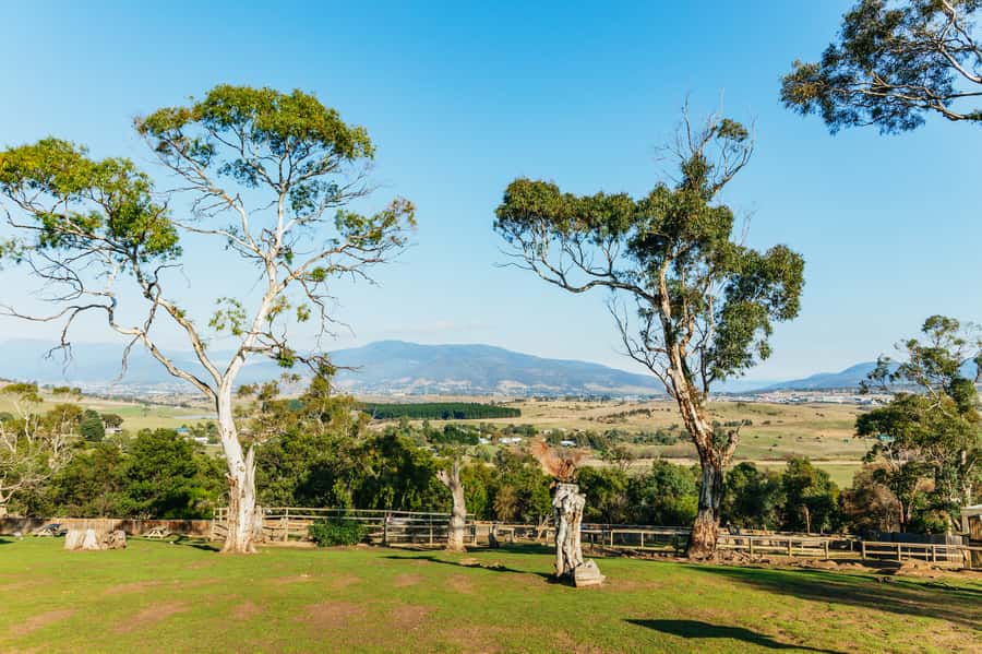 Hobart: Mt Wellington, Mt Field, Bonorong and Richmond Trip - Price and value: what $126 buys you for a full day
