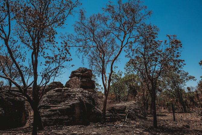 Kakadu Day Tour from Darwin with Offroad Dreaming - Stop 2: Guluyambi cultural cruise on the East Alligator River