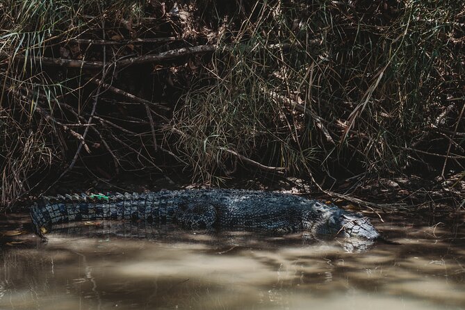 Kakadu Day Tour from Darwin with Offroad Dreaming - Food, water, and comfort: what’s included vs what you must plan for