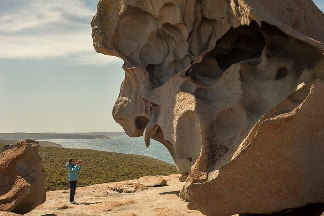 Kangaroo Island in a Day Tour from Adelaide - Seal Bay Conservation Park: sea lions up close, feet in the sand