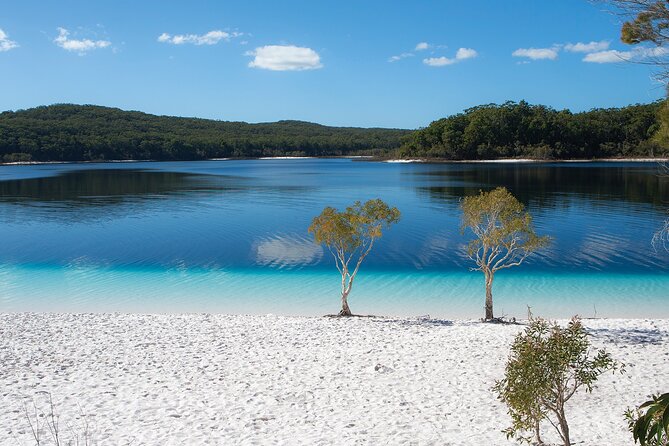 K'gari (Fraser Island) All Inclusive Day Tour - Lake McKenzie: The 1-Hour Swim Stop That Feels Like a Real Break