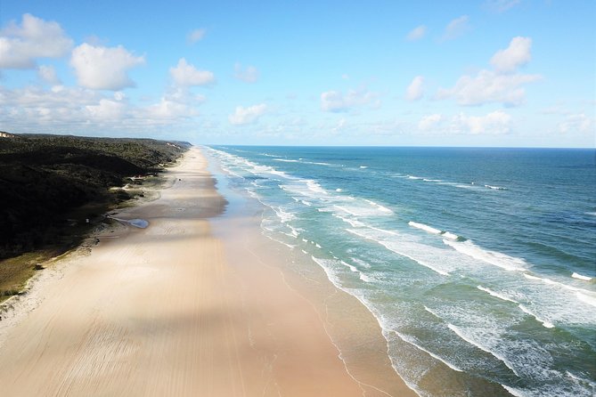 K'gari (Fraser Island) All Inclusive Day Tour - Central Station and Wanggoolba Creek: Rainforest Walk Without the Big Hike