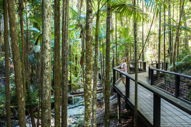 K'gari (Fraser Island) All Inclusive Day Tour - Getting There: Hervey Bay vs Rainbow Beach and the Ferry Day Start