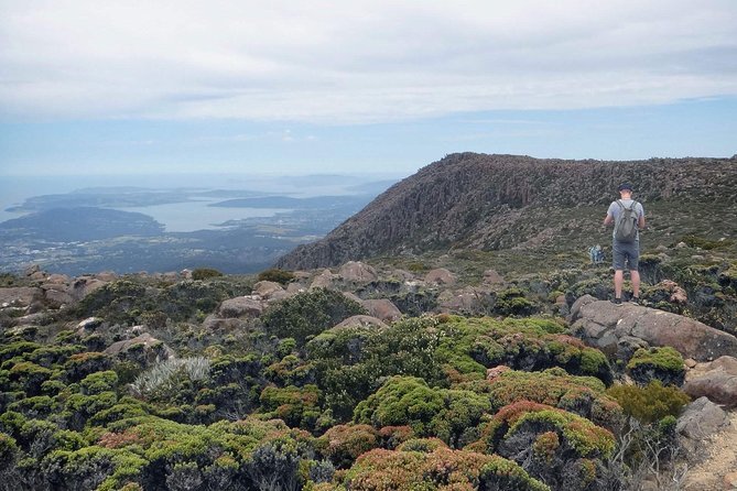 kunanyi/Mt Wellington Explorer Bus- Return Tour (2.5 hours) - The big payoff: a 1,270-m summit that fits real schedules