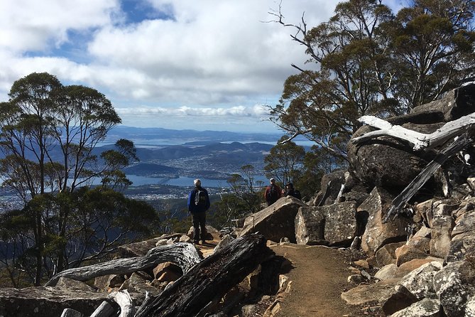 kunanyi/Mt Wellington Explorer Bus- Return Tour (2.5 hours) - Wind, cold, and weather shifts: what to wear