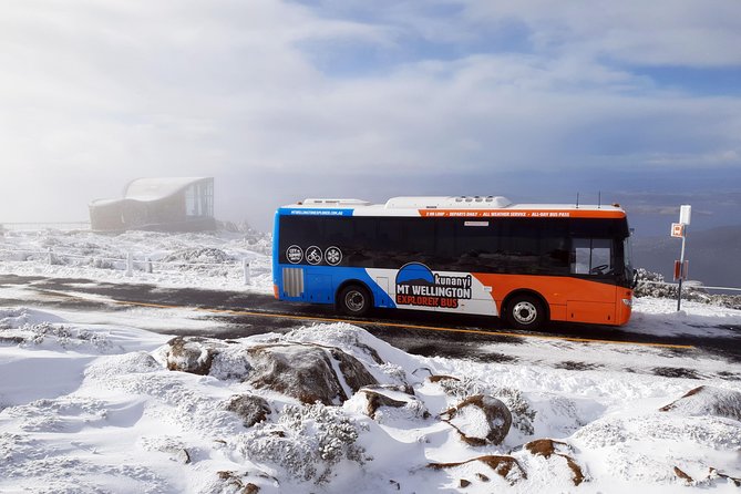 kunanyi/Mt Wellington Explorer Bus- Return Tour (2.5 hours) - Price and value: is $35.86 actually a smart deal?