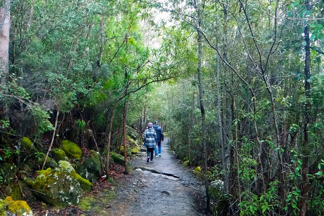kunanyi/Mt Wellington Explorer Bus- Return Tour (2.5 hours) - Who this tour suits best, and who might need a different plan