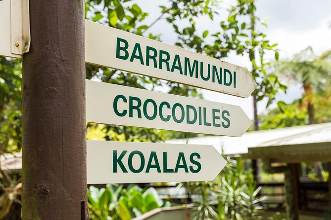 Kuranda Scenic Railway Day Trip from Cairns - Skyrail stop strategy: make the two “walk and look” moments count