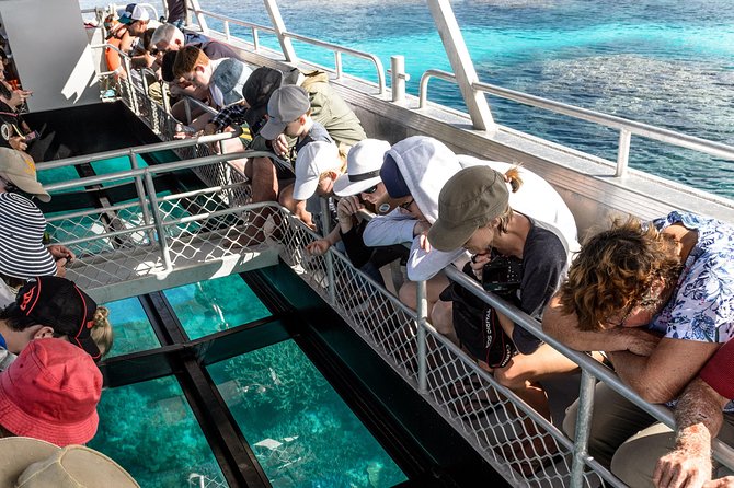Lady Musgrave Day Trip from Bundaberg Including Snorkeling - Lady Musgrave from Bundaberg: a 7:00am start that pays off