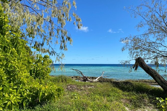Lady Musgrave Day Trip from Bundaberg Including Snorkeling - Price and value: what $240.64 buys you