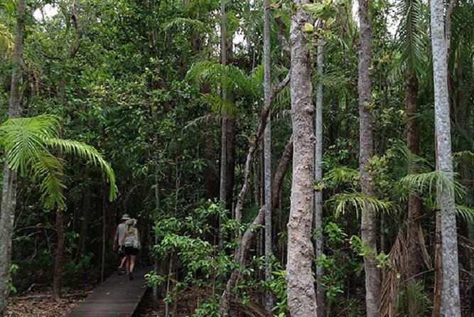 Litchfield National Park and Jumping Crocodile Cruise - Key highlights that make this Darwin croc and Litchfield day work