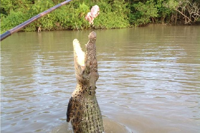 Litchfield National Park and Jumping Crocodile Cruise - Magnetic termite mounds and the Batchelor drive: small culture, big facts