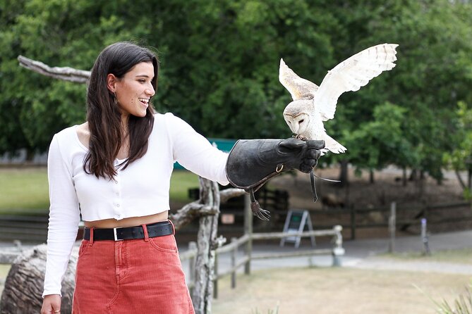 Lone Pine Koala Sanctuary Day Pass - Pacing Your 2–5 Hour Visit Without Feeling Rushed