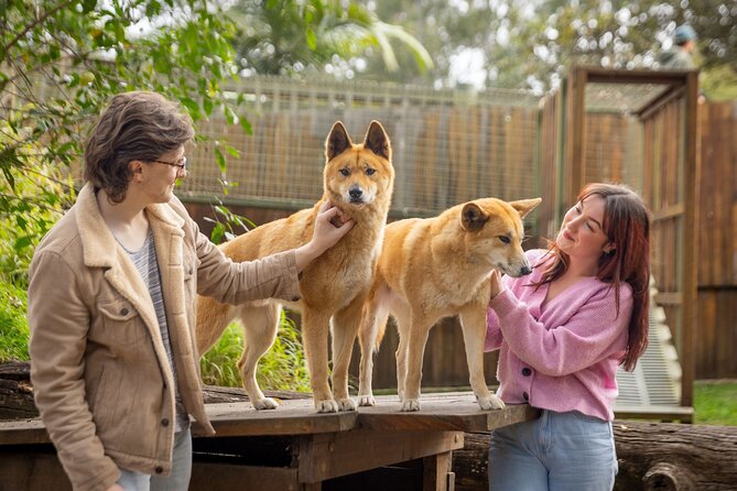 Lone Pine Koala Sanctuary Day Pass - What the Day Pass Includes (and What’s Sold Separately)