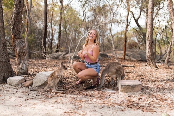 Luxury Hunter Valley Wildlife & Wine Tasting Tour from Sydney - Pokolbin Estate Vineyard: Structured Wine Tasting, Fees Extra