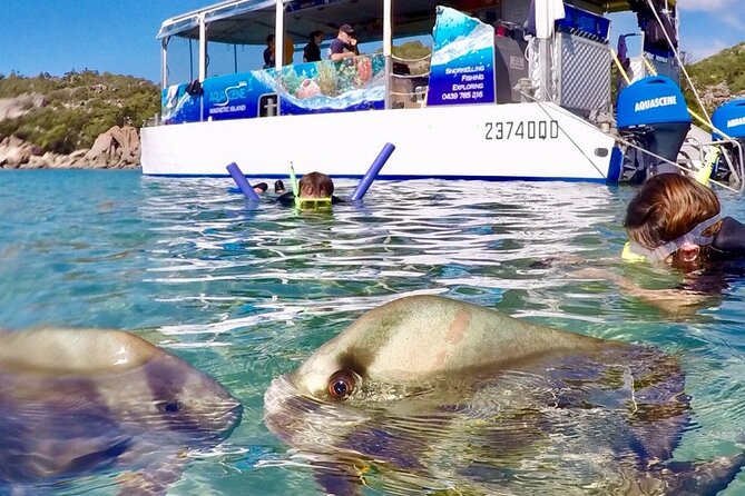 Magnetic Island Discovery Tour with Snorkeling & Paddle Boarding - Morning tea on the beach: the calm middle of the action
