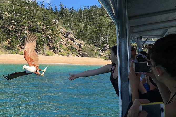 Magnetic Island Discovery Tour with Snorkeling & Paddle Boarding - Paddle boarding and the pontoon break