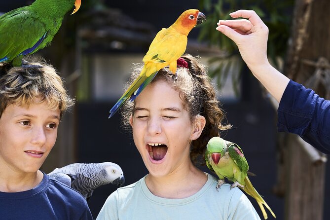 Maleny Botanic Gardens Bird Aviary Experience Ticket - Maleny Bird Aviary: Why This Experience Feels Different
