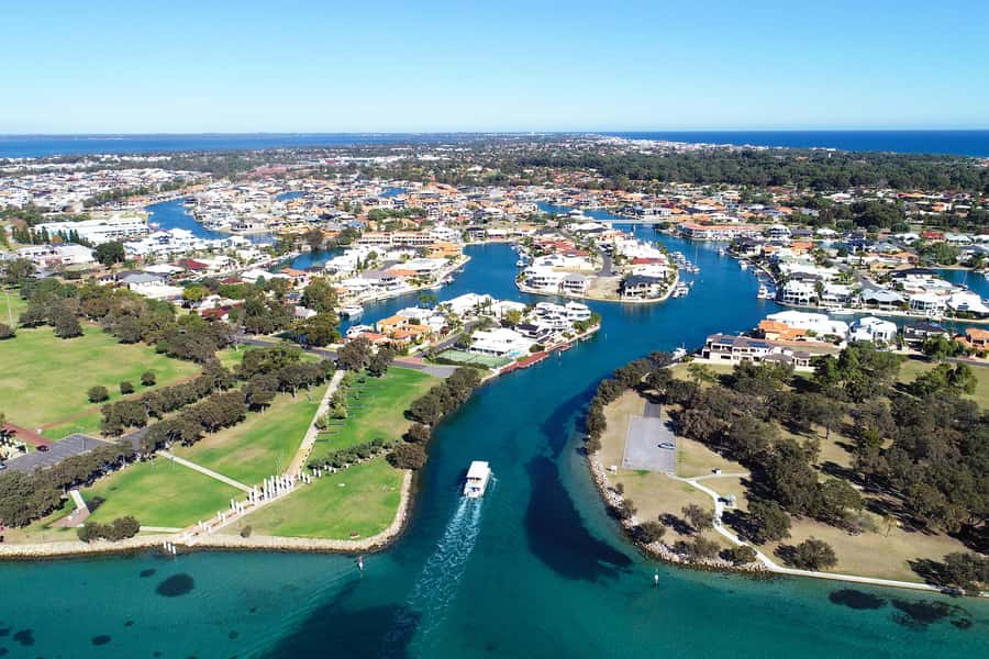 Mandurah: Dolphin and Views Cruise - What you’ll actually see: dolphins, birds, and wildlife behavior