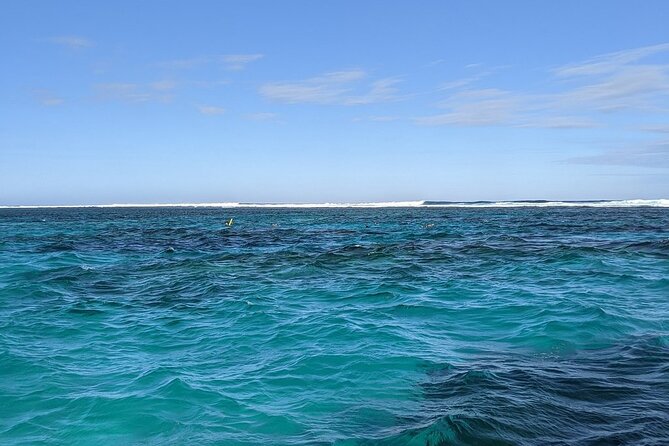 Marine Eco Safari - Swim with Manta Rays - Sea turtle sanctuary stop: a calmer wildlife moment between snorkels