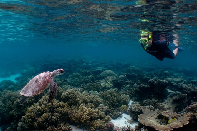 Marine Eco Safari - Swim with Manta Rays - Gear and comfort tips: what to bring so you don’t get cold