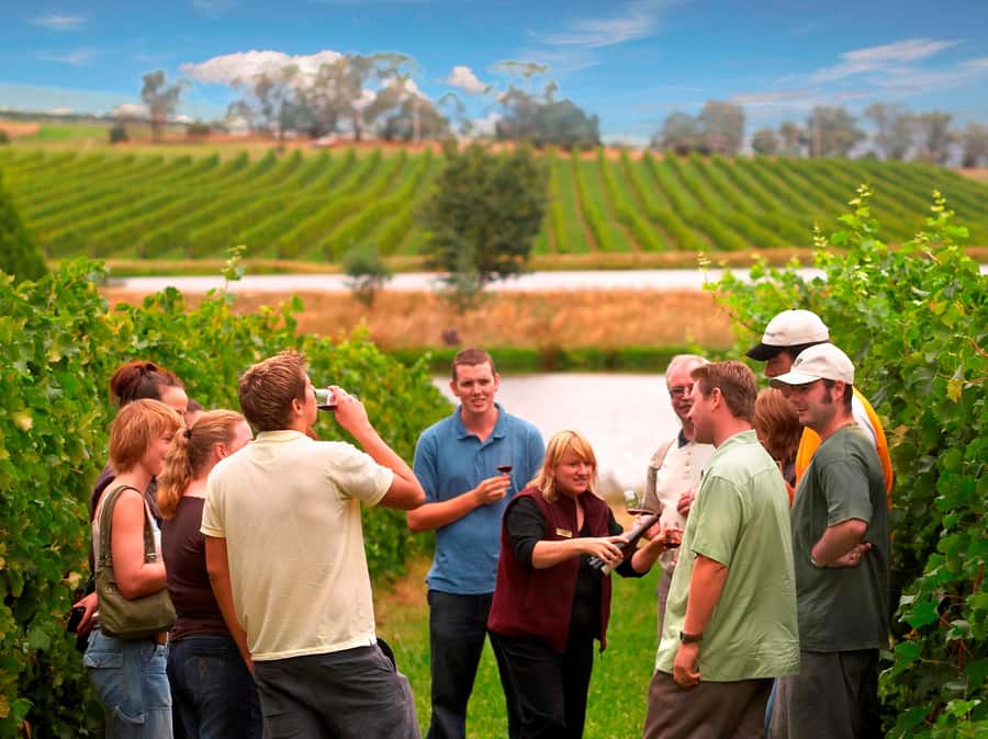 Melbourne: Full-Day Yarra Valley Wine Experience with Lunch - Yarra Valley From Melbourne: An 8-Hour Tasting Day With Real Structure