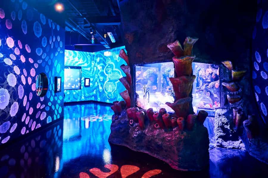 Melbourne: SEA LIFE Aquarium Entrance Ticket - Price and value: is $28 per person a fair deal?
