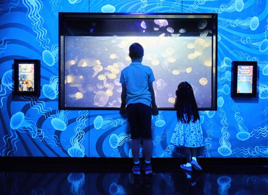 Melbourne: SEA LIFE Aquarium Entrance Ticket - Café stops, crowds, and practical tips for a smoother visit