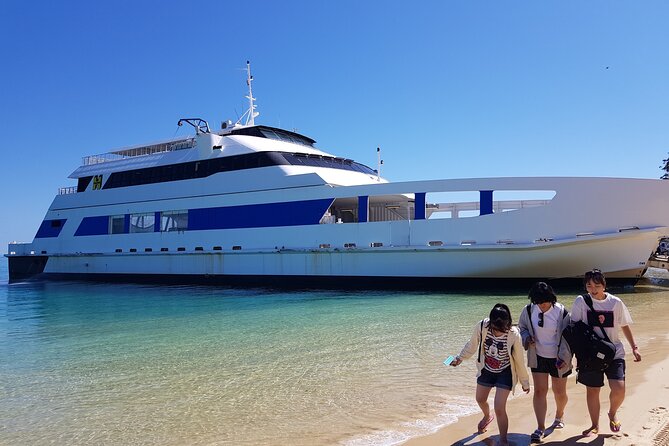 Moreton Island Day Trip (Kayak, Snorkel & Sandboard) frm Brisbane or Gold Coast - Non-Swimmers, Nervous Swimmers, and Safety Support
