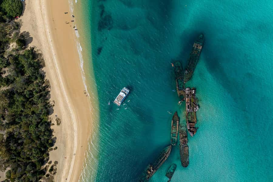 Moreton Island: Dolphin & Tangalooma Wrecks Snorkel Cruise - Key Things I’d Watch for on This Moreton Island Cruise