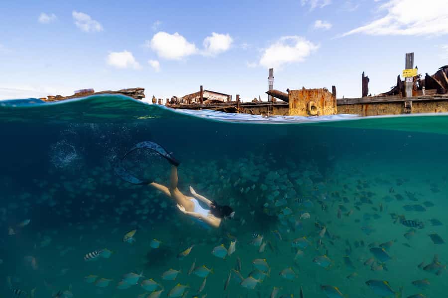Moreton Island: Dolphin & Tangalooma Wrecks Snorkel Cruise - Should You Book the Moreton Island Dolphin and Tangalooma Wrecks Snorkel Cruise?