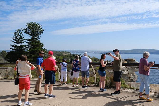 Morning or Afternoon Half-Day Sydney City Sightseeing Tour - Watsons Bay and The Gap: dramatic harbor angles without the big hike