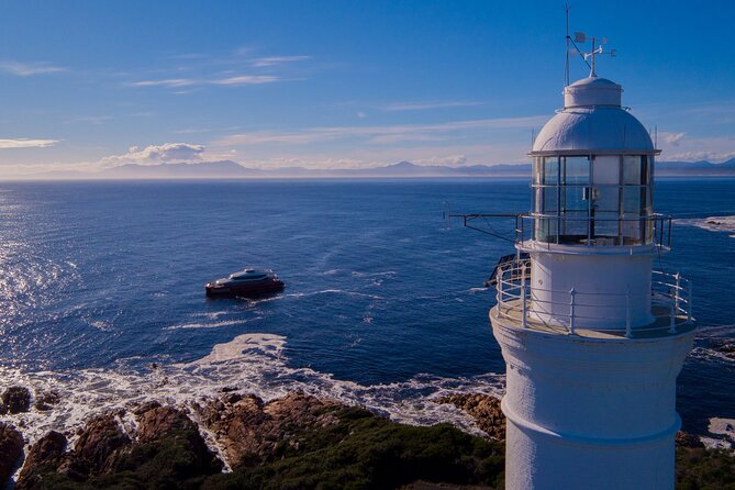 Morning World Heritage Cruise on the Gordon River from Strahan - Commentary and onboard storytelling: why the crew makes a difference