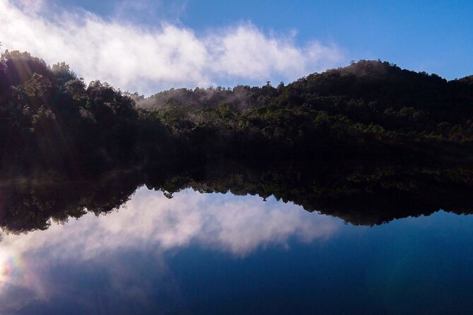 Morning World Heritage Cruise on the Gordon River from Strahan - Price and logistics: what’s included, what you should bring, and what to skip