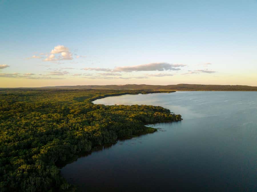 Noosa: Afternoon Cruise through the Noosa Everglades - Should you book the Noosa Everglades afternoon cruise?