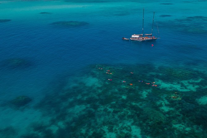 Ocean Free 25 guest Great Barrier Reef & visit Green Island Tour - The exclusive Pinnacle Reef mooring: where your snorkeling time really starts
