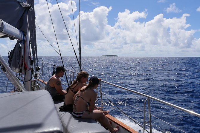 Ocean Free 25 guest Great Barrier Reef & visit Green Island Tour - Lunch and drinks: this is more than a box meal