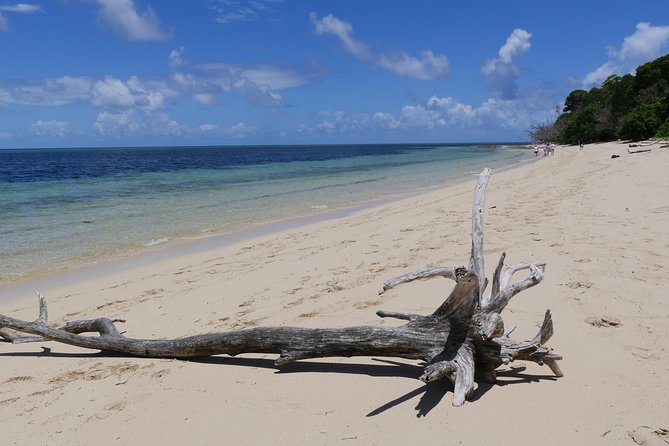Ocean Free 25 guest Great Barrier Reef & visit Green Island Tour - Who this tour suits best (and who should rethink it)